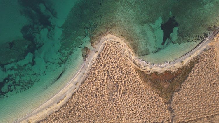 Aerial View Of Beach Shore