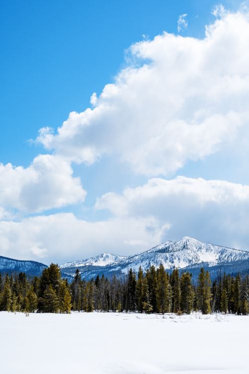 Free Snow-covered mountains and pine forest under a bright blue sky in Stanley, Idaho. Stock Photo