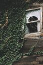 Brown Wooden House With Green Vines