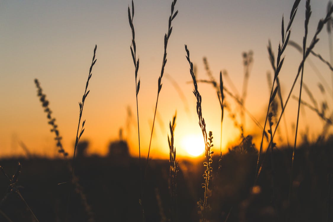 Ilmainen kuvapankkikuva tunnisteilla auringonlasku, aurinko, hämärä