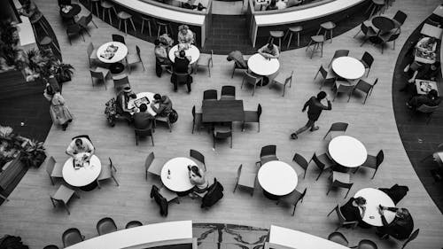 Foto d'estoc gratuïta de blanc i negre, cadires, cafeteria