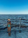 Brown Wooden Dock on Sea