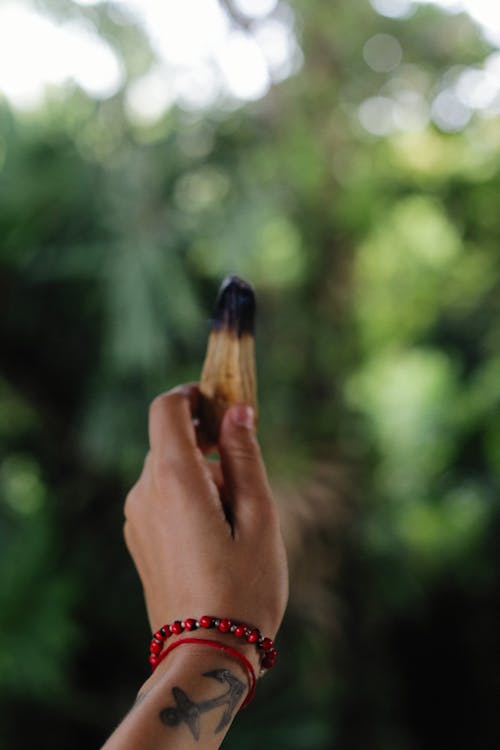 Close-up of Holding a Burnt Wood