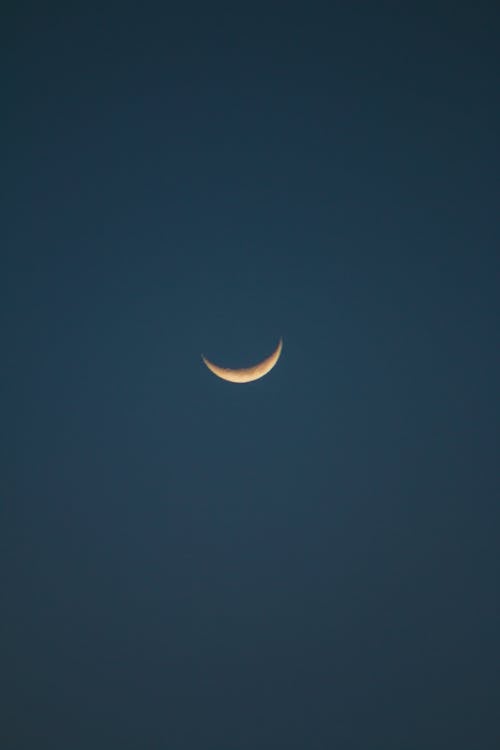 Crescent Moon in Blue Night Sky