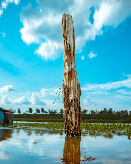 Gratis stockfoto met Afrika, Afrikaans, h2o