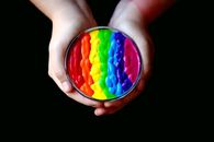 Person Holding Multicolored Container