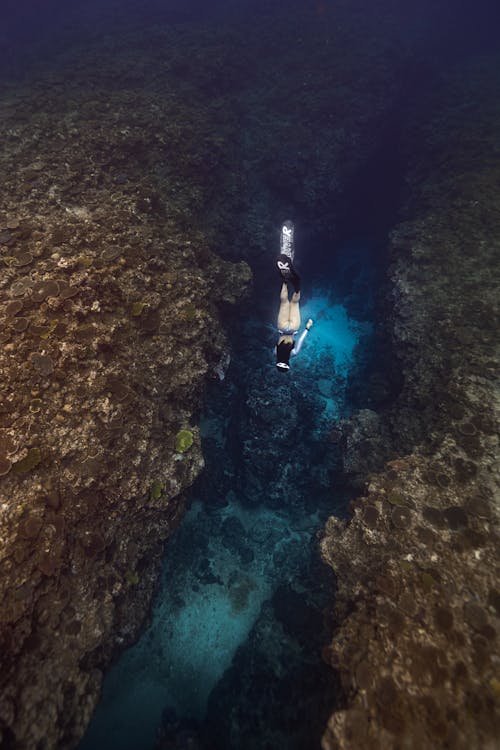 Person Diving on the Ocean 