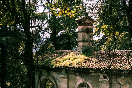 Free An abandoned rustic house with a moss-covered roof surrounded by lush trees. Stock Photo