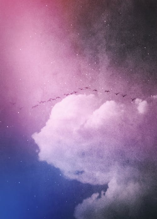 Birds Flying Across Clouds And Starlight Sky