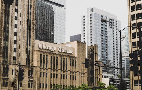 Chicago Tribune Building In Der Nähe Von Green Leaf Tree Zur Tageszeit