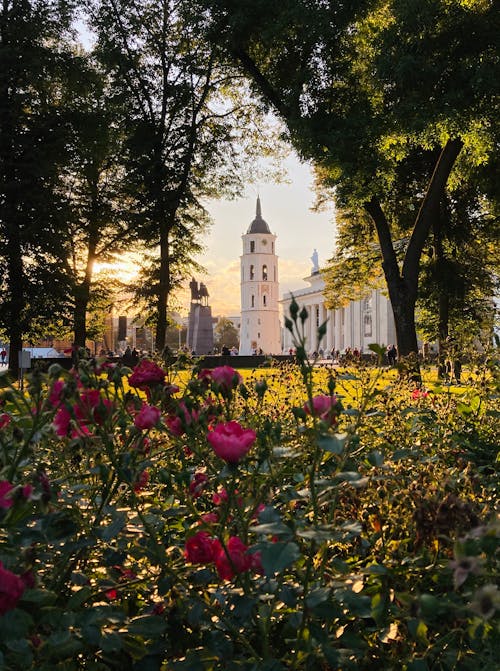 Free Vilnius in bloom Stock Photo