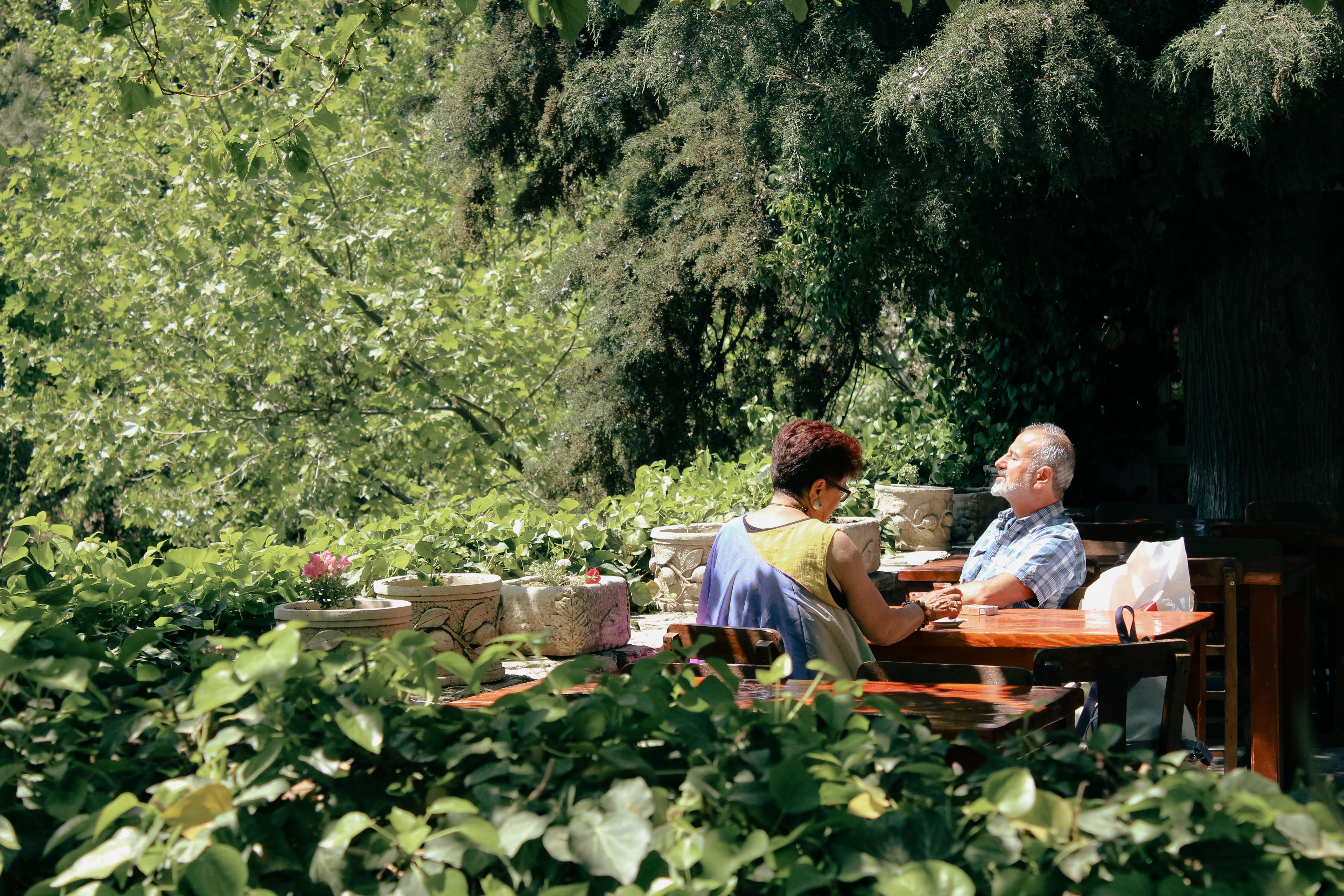 Senior couple relaxing in a sunny park surrounded by greenery, enjoying a peaceful moment together