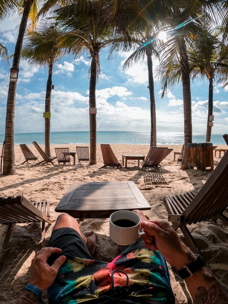 Personal View Of Beach Under Palms