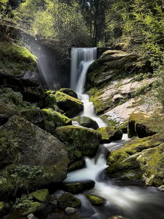 Immagine gratuita di acqua, bagnato, cascata