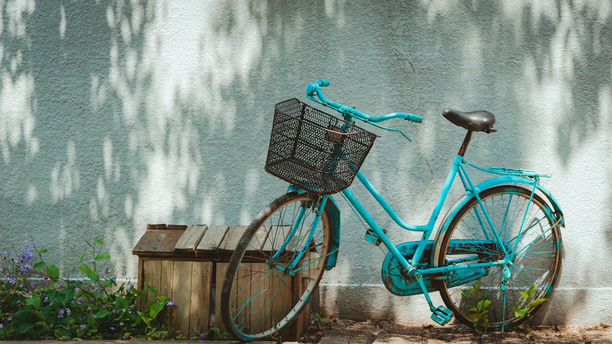 412.000+ Bicicleta Para Adulto Fotografías de stock, fotos e imágenes  libres de derechos - iStock