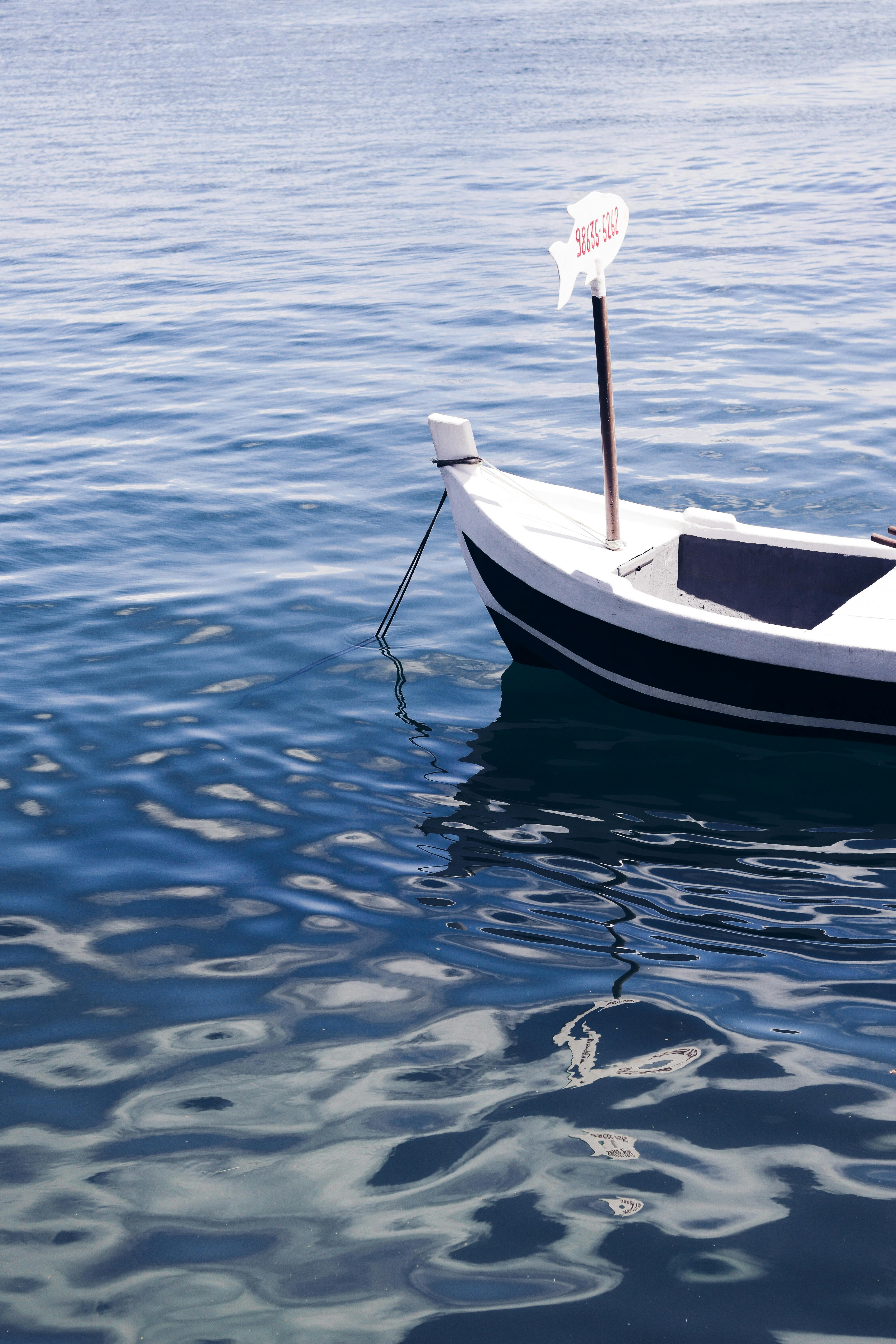 White And Black Boat On Body Of Water · Free Stock Photo