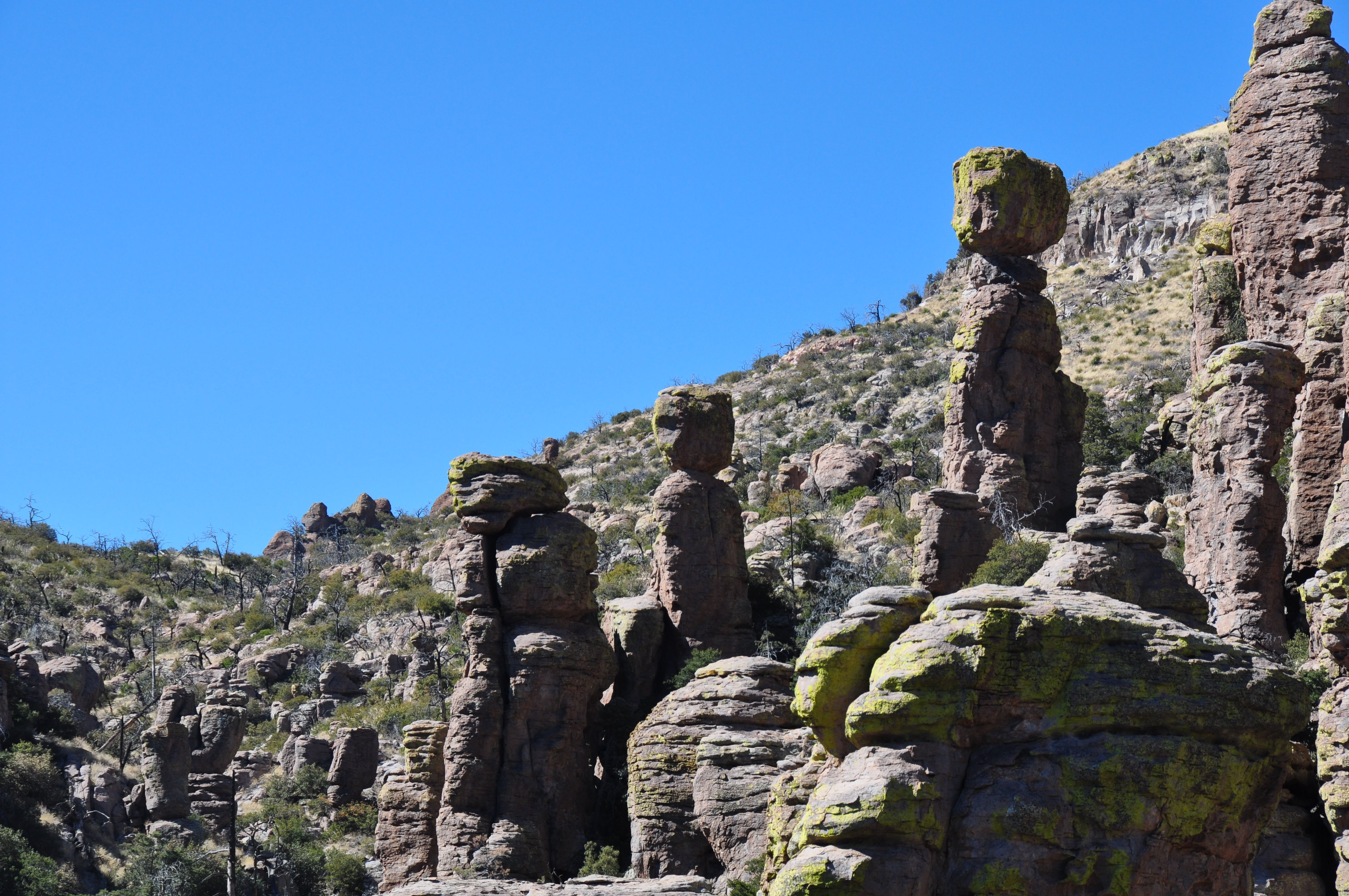 Rhyolite hoodoo pinnacles standing in ranks at Chiricahua