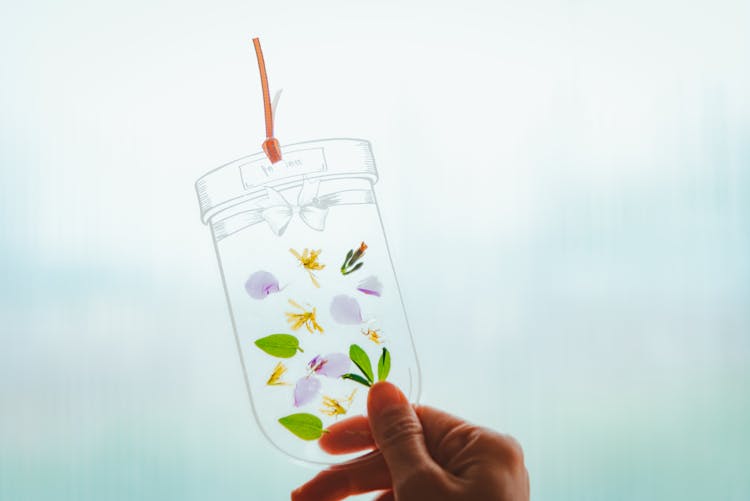 Person Holding Clear Glass With Vector Illustration Of Leaves And Petals 