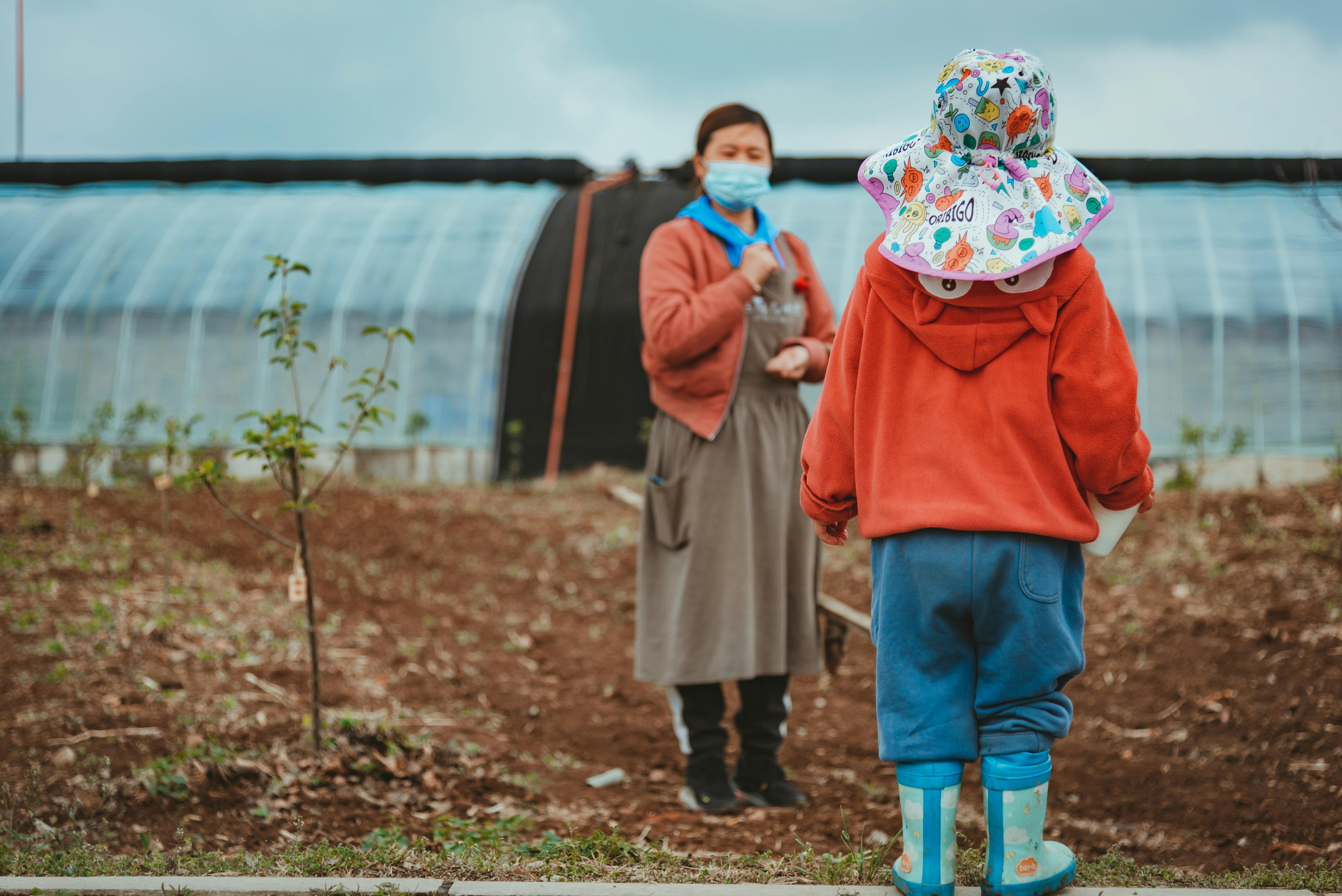 Fermierii din România vor plăti impozit pe sere, solarii și silozuri începând cu 2026