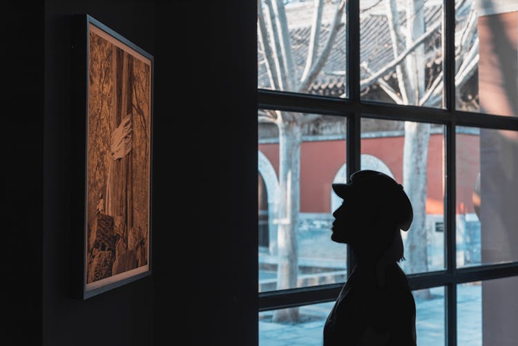 Silhouette Of Woman Looking At Painting