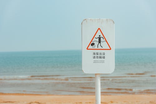 Seascape with Sign Warning Jellyfish is Infested Please Do not Touch