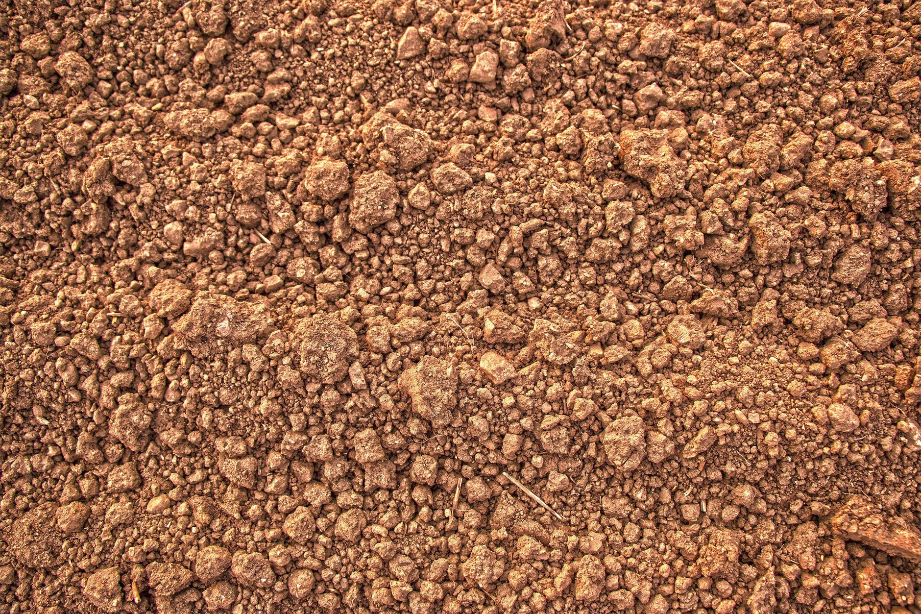 Prepared Garden Bed A garden bed with dark, rich soil mixed with organic matter, showing improved texture and friability ready for planting.