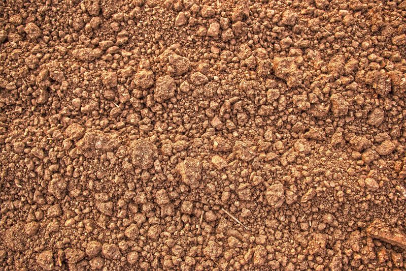 dry brown soil texture