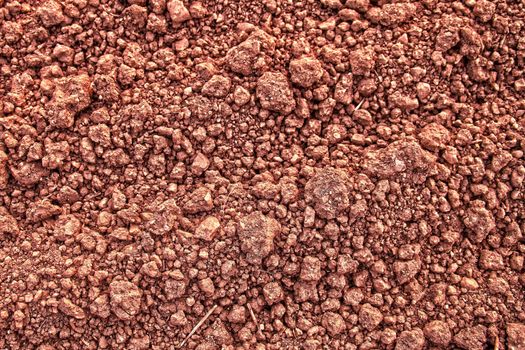 Red Clay Lumps on Ground