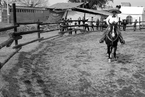 Grayscale Photo of Man Riding Horse