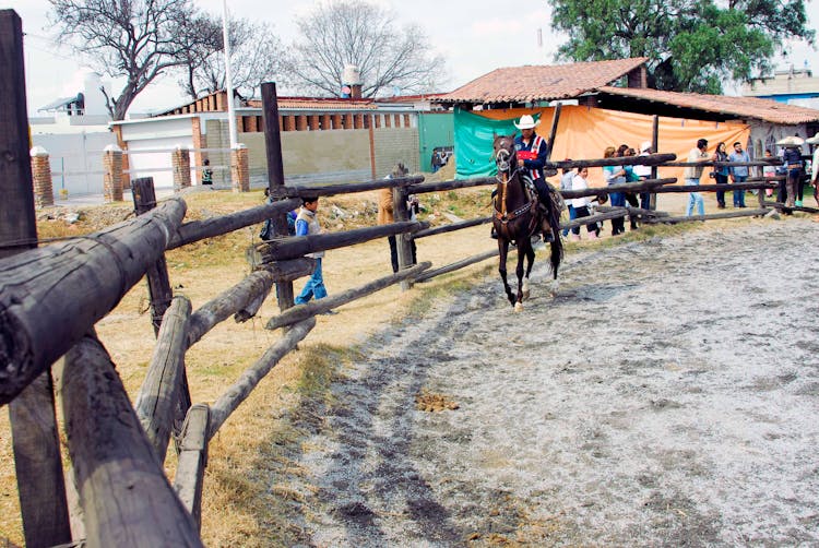 People Watching Man Riding Horse