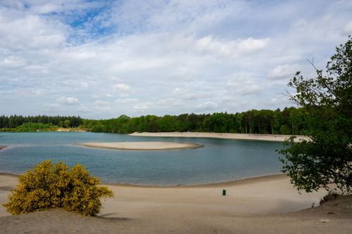 Free A tranquil sandy lake surrounded by trees and vibrant greenery under a cloudy blue sky. Stock Photo