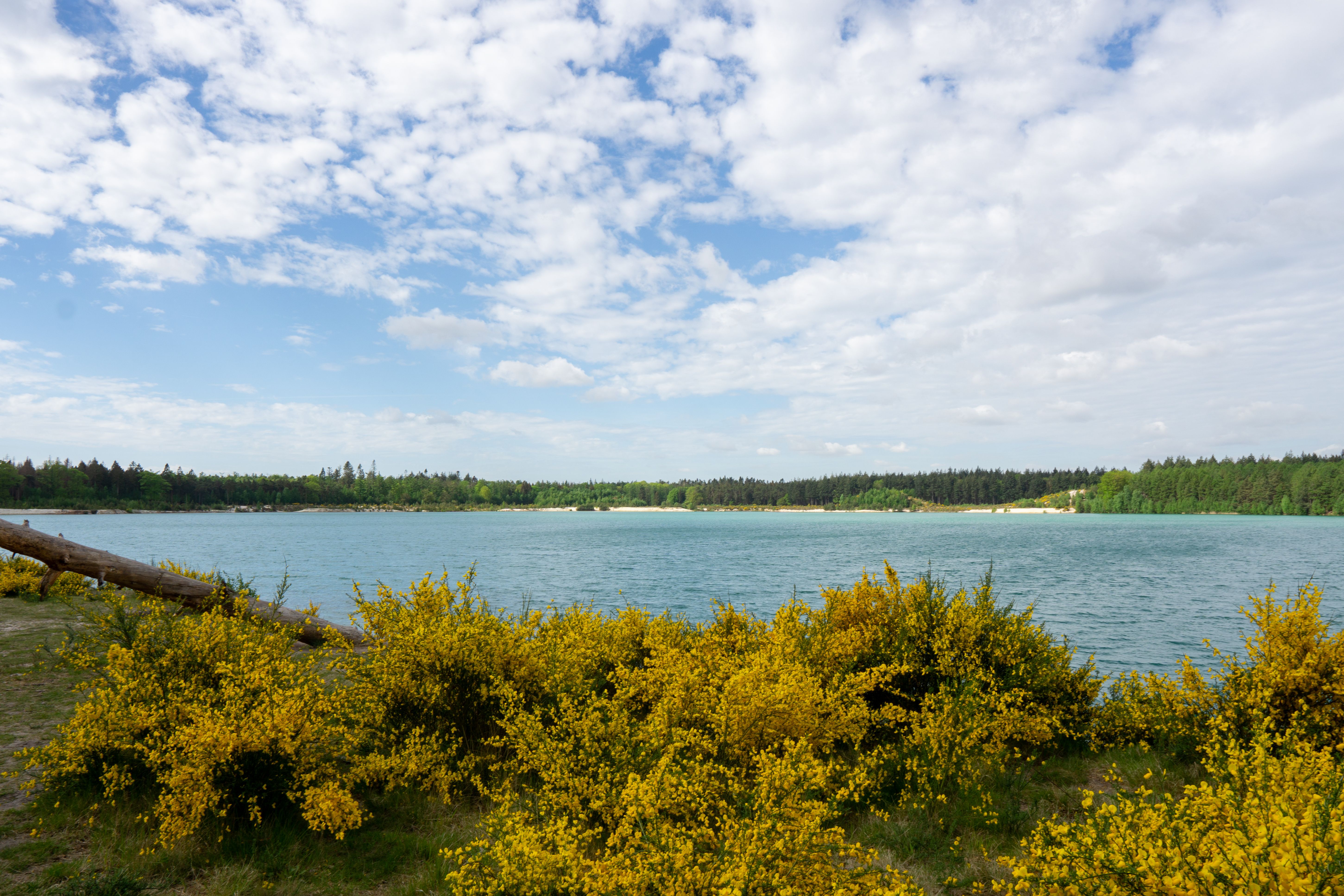 See Fort Wierickerschans