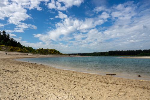 Free Peaceful sandy beach with clear skies and distant forest, perfect for a serene getaway. Stock Photo