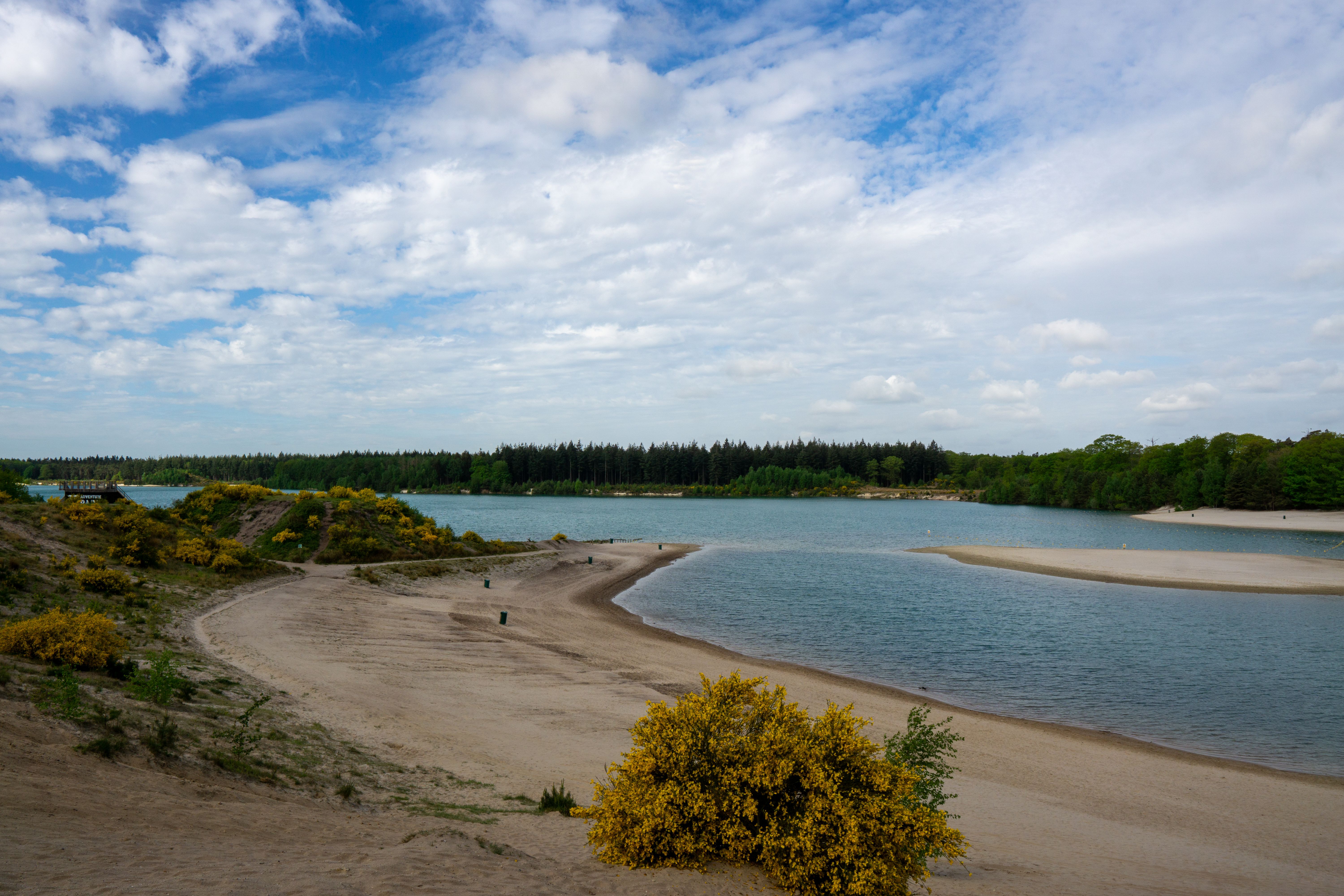 Sandy lake beach with swimmers and reeds on a summer afternoon near Utrecht