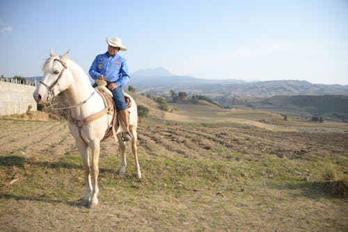 Man Riding a White Horse