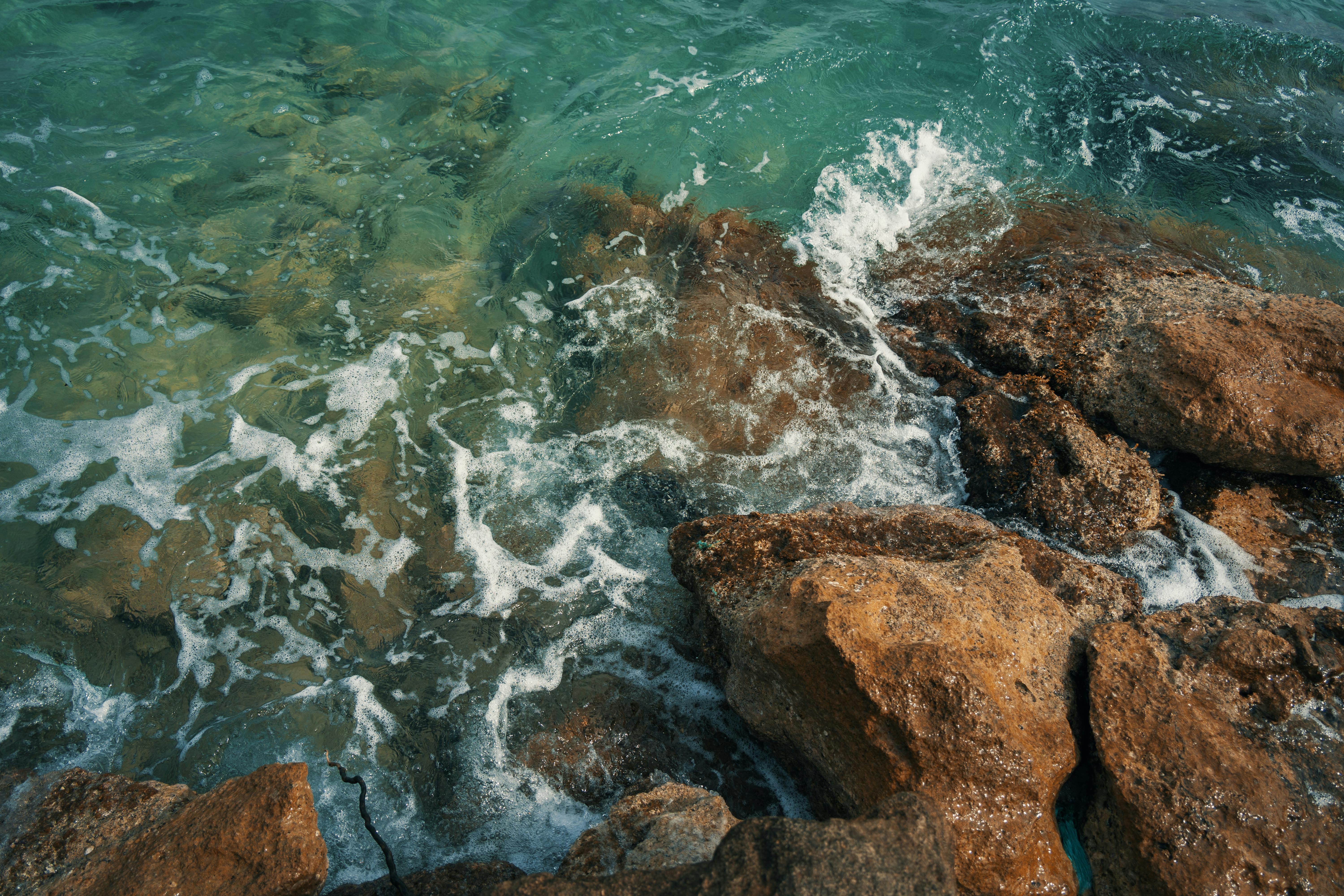 EcoFlow Unveils OCEAN 2 Plus Single-Phase at Smart Energy 2026 as Australia Accelerates Towards Smarter Home Energy — Photo b