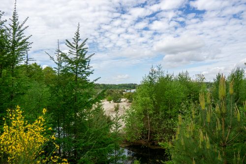 Free A beautiful natural landscape featuring lush green trees under a vibrant blue sky. Stock Photo