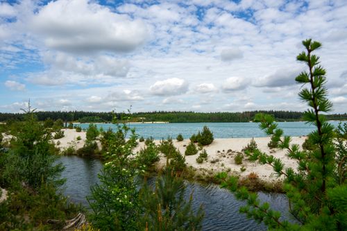 Free Serene landscape featuring a lake, pine trees, and a blue sky with clouds. Stock Photo