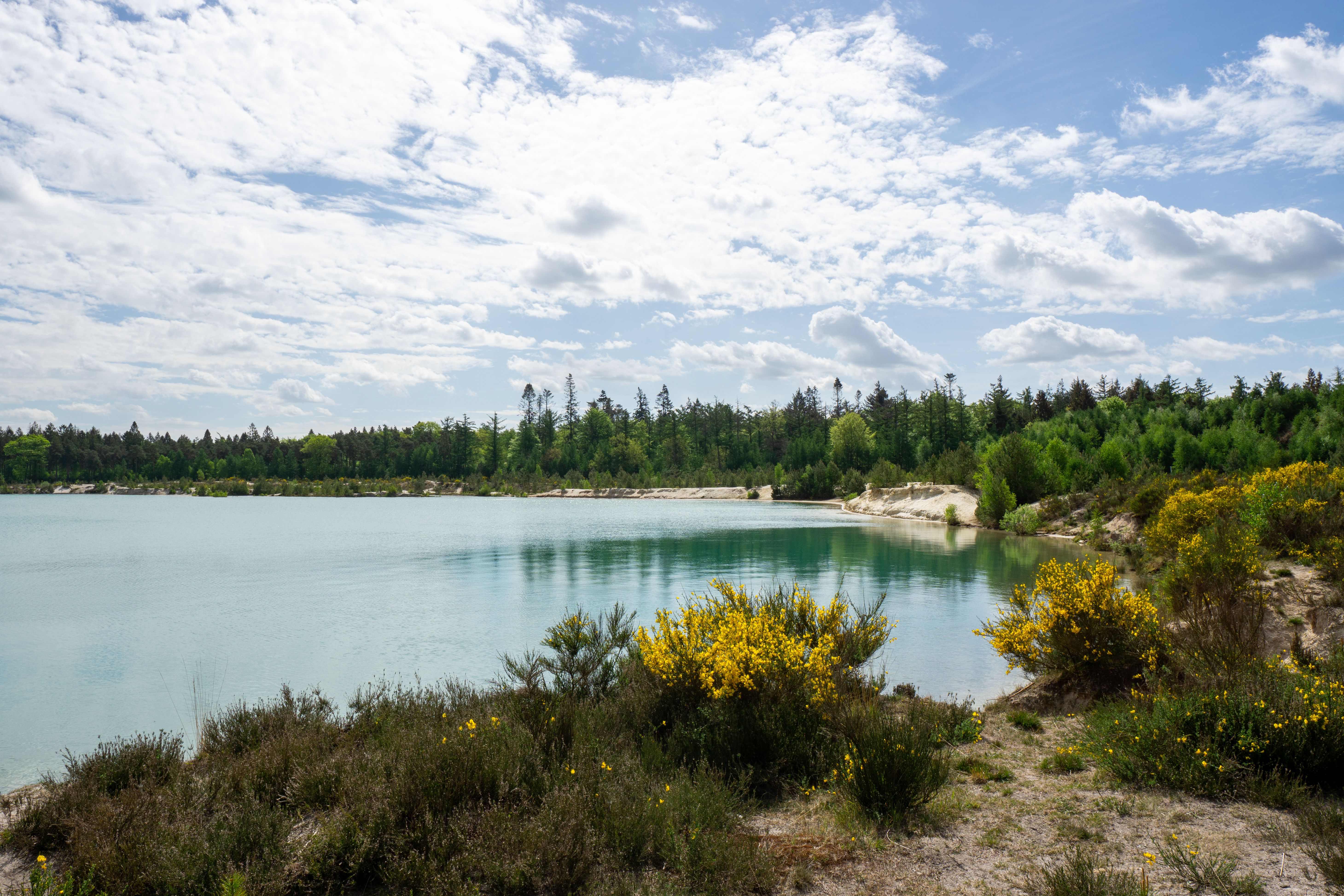 Green Trees Near Body of Water Under Blue Sky · Free Stock Photo