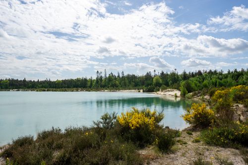 Free Peaceful lakeside view with vibrant vegetation under a bright blue sky and white clouds. Stock Photo