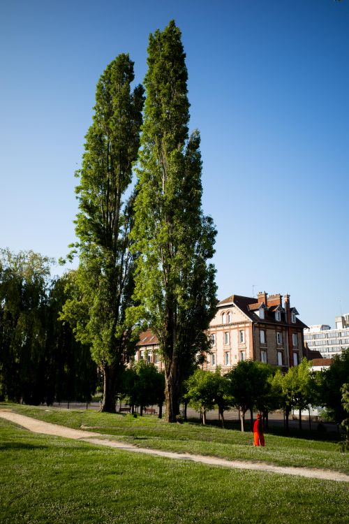 Free Charming French estate near tall trees under clear blue sky with vibrant greenery. Stock Photo