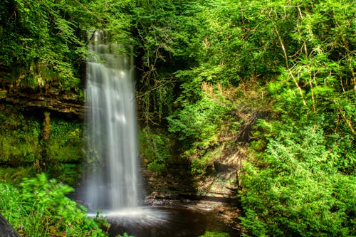 Foto profissional grátis de árvores, cachoeiras, cenário