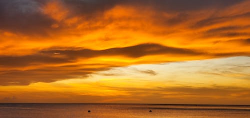 Golden Sunset over Sea