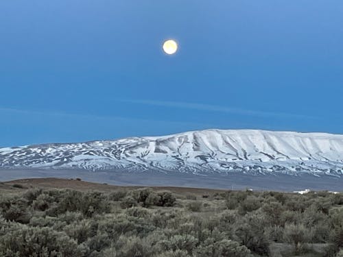 Morning Moon Over Desert Snow