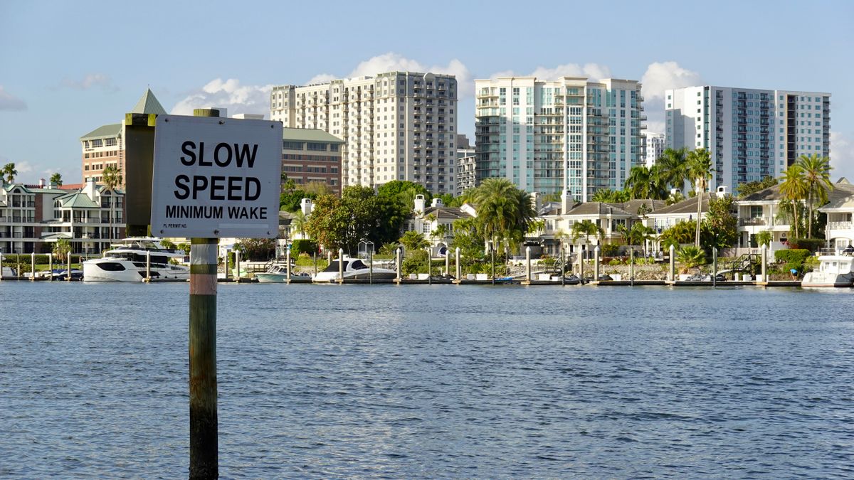 Top Tampa, FL Beauty Giveaways With No Purchase Necessary: Safe Entry Guide