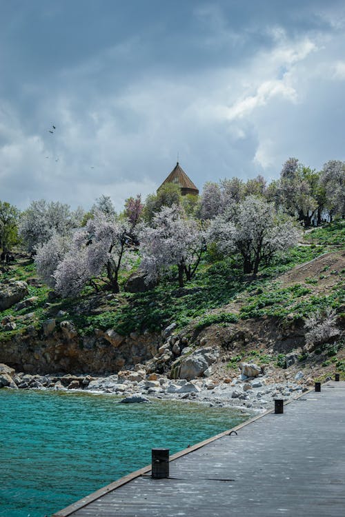 açık hava, ağaçlar, ahşap rıhtım içeren Ücretsiz stok fotoğraf