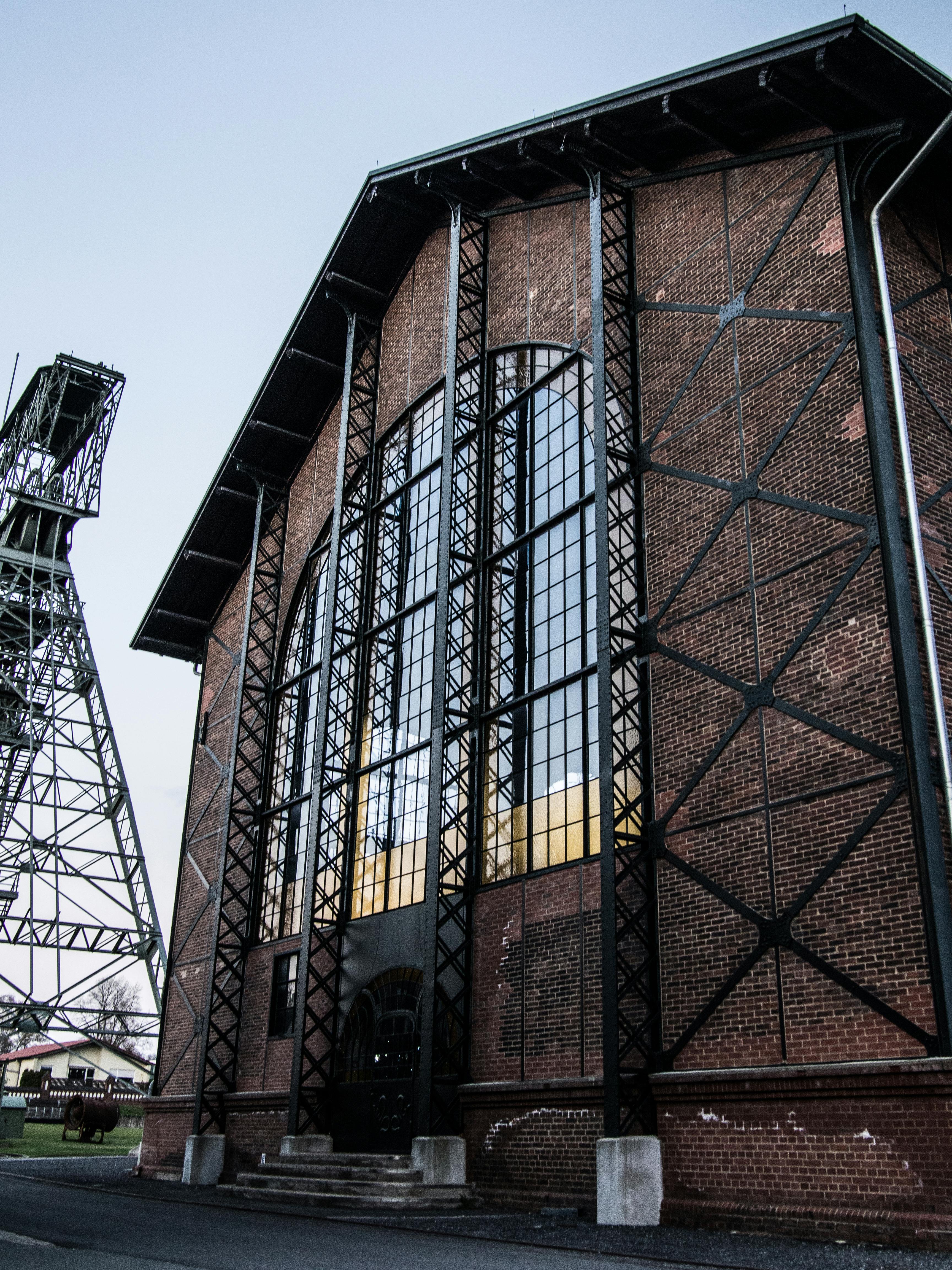 Why did Germany ban shotguns?