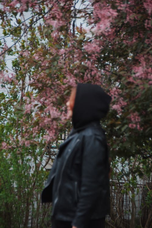 Imagine de stoc gratuită din femeie, flori roz, fotografiere verticală