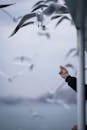 Person in Black Long Sleeve Shirt With White Birds Flying