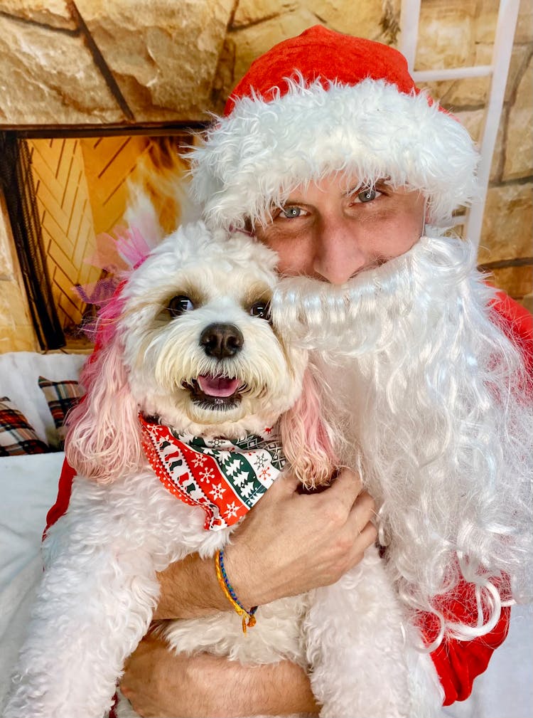 Man In Santa Claus Costume With Dog